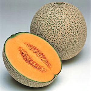 ������ �� �y���m���z 100�� �i �� ��� ��؎�q ��؎� �j