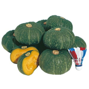 ���ڂ��� �� �y�ق�����P�z 100�� �i �� ��� ��؎�q ��؎� �j