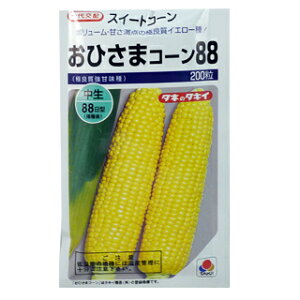 �Ƃ����낱�� �� �y���Ђ��܃R�[��88�z 200�� �i �� ��� ��؎�q ��؎� �j