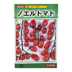 ~jg}g  y mGg}g z ܁i18j ( ~jg}g̎ )