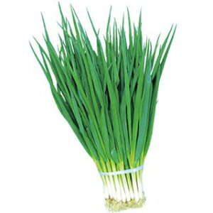 lM  y  z 1L ( lM̎ )