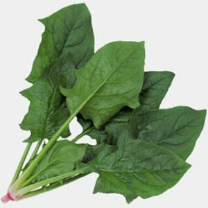 zE\E  y AObVu z L2 ( zE\E̎ )