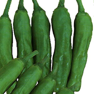 gEKV  y Ƃ z 2000 ( gEKV̎ )