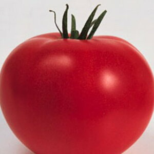 g}g  y z[Y z 1000 ( g}g̎ )