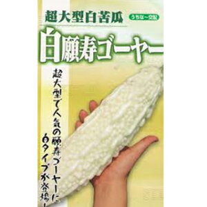 S[  y S[ z q ܁@(10j i   ؎q ؎ j