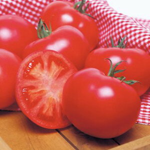 g}g  y z[YEX z 1000 ( g}g̎ )