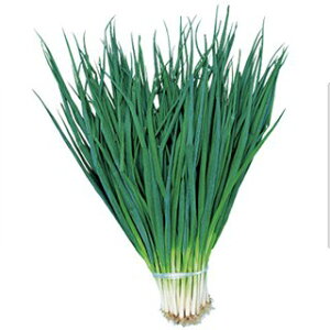 �l�M �� �y �󉩌n���K �z ����(GF 13ml) ( �l�M�̎� )