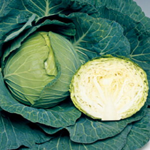 Lxc  y ΌSP z ybg150 i   ؎q ؎ j