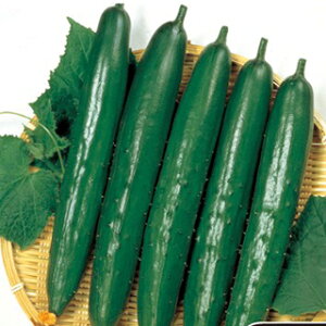 イ  y悵Ȃz 350 i   ؎q ؎ j