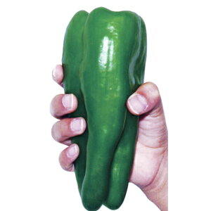 s[}  yƂ񂪂p[z 20 i   ؎q ؎ j