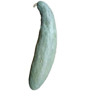 ڂ  y×z 100 i   ؎q ؎ j