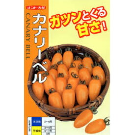 ミニトマト 種 【カナリーベル】 500粒 （ 種 野菜 野菜種子 野菜種 ）