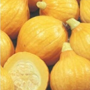 �J�{�`�� �� �y �R�����L�[ �z ���珬�� ( �J�{�`���̎� )