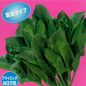 zE\E  y S[S[T}[7 z  ( zE\E̎ )