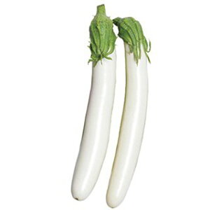 iX  y l z ܁i20j ( iX̎ )