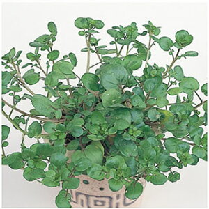 n[u  y N\iEH[^[NXj z 珬 i   ؎q ؎ j