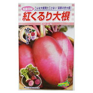 大根 種 【紅くるり】 20ml （ 種 野菜 野菜種子 野菜種 ）