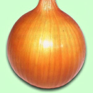 ܂˂  y _ z 20ml i   ؎q ؎ j