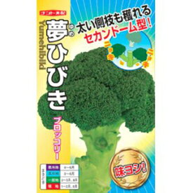 ブロッコリー 種 【 夢ひびき 】 小袋（約0.7ml） 種 野菜 野菜種子 野菜種 ）