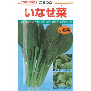   yȂ؁z 2dl i   ؎q ؎ j