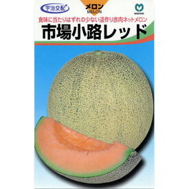 楽天市場 固定種 メロンの通販 楽天市場 固定種 メロンの通販
