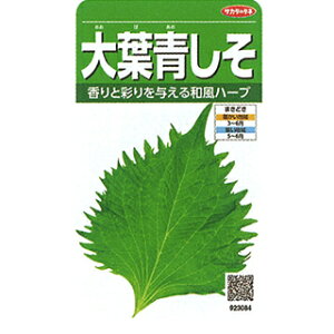 �t�� �� �y ��t���� �z ���珬�� ( �t�؂̎� )