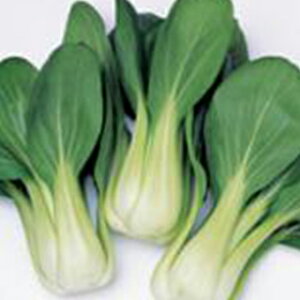 `QTC  y `QTC iĂj z ybg5痱 ( `QTC̎ )