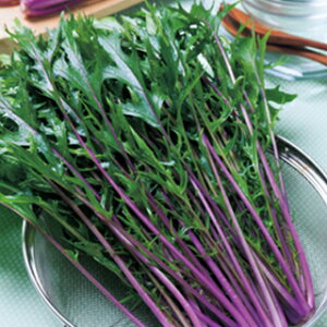   y g@t z 2dl ( ؂̎ )