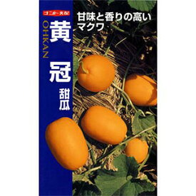 楽天市場 マクワウリの通販 楽天市場 マクワウリの通販