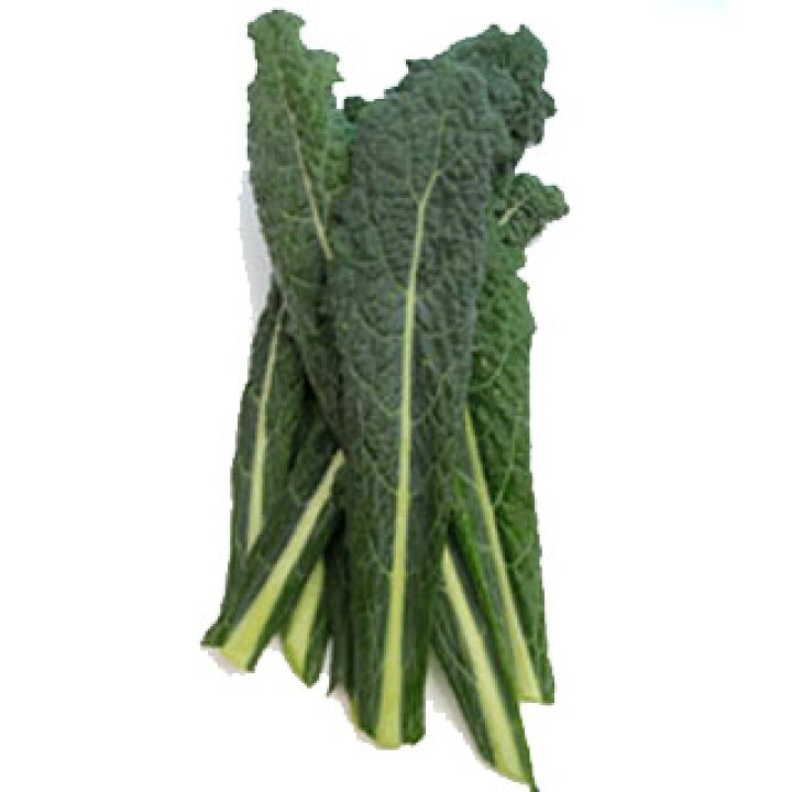 楽天市場】黒キャベツ 種【 カーボロネロ 】小袋( 野菜種 西洋野菜 グストイタリア ) : 【菜園くらぶ】家庭菜園の専門店 楽天市場】黒キャベツ 種【 カーボロネロ 】小袋( 野菜種 西洋野菜 グストイタリア ) : 【菜園くらぶ】家庭菜園の専門店