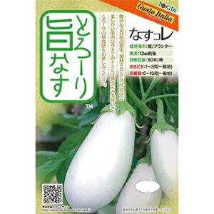 iX  y Ƃ[|ȂigăgRj z ܁i20j ( iX̎ )