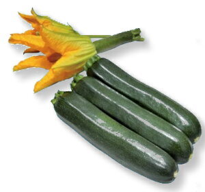 YbL[j  y ubNE{[ z 10 ( YbL[j̎ )