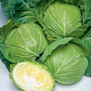 Lxc  y  z L_l2000 ( Lxc̎ )