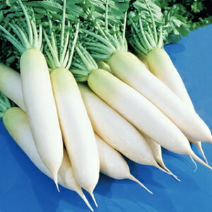 _CR  y ϕa z 1L ( _CR̎ )