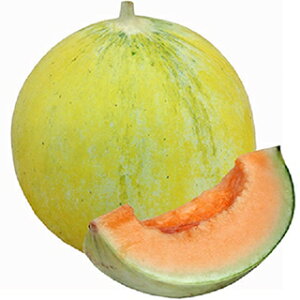   y L[sbg z 100 ( ̎ )