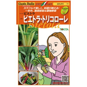 ӂ񑐁iXCX`[hj y rGgEgR[ z iFႢ3ij i   ؎q ؎ m OXgC^A j