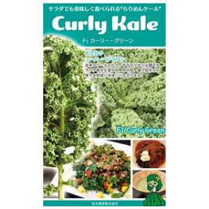 P[  ߂P[ J[[O[ ܁iR[gq30)i   ؎q ؎ j