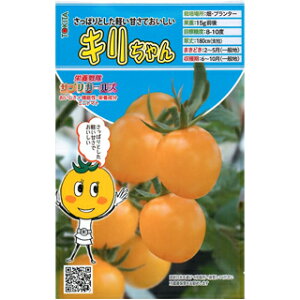 �~�j�g�}�g �� �y �L������� �z 8�� �i �� ��� ��؎�q ��؎� �j