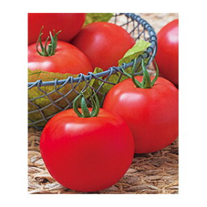 g}g  y Y_[ z DF ( g}g̎ )