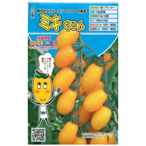 ~jg}g  y ~L z 8 i   ؎q ؎ j