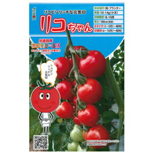 �~�j�g�}�g �� �y ���R����� �z 8�� �i �� ��� ��؎�q ��؎� �j