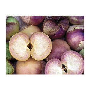 �g�}�g �� �y �p�[�v���@�g�}�e�B�[�� �z ���� ( �g�}�g�̎� )