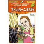 インゲン 種【 ファジョリーニ・ミスティ 】小袋 50粒×2品種（ 野菜種 種子 西洋野菜 グストイタリア ）