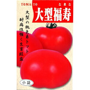 �g�}�g �� �y ��^���� �z ���� ( �g�}�g�̎� )