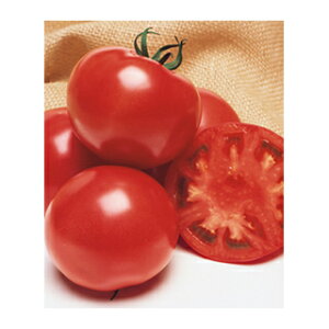 g}g  y CFYt@Cg z DFi16j ( g}g̎ )