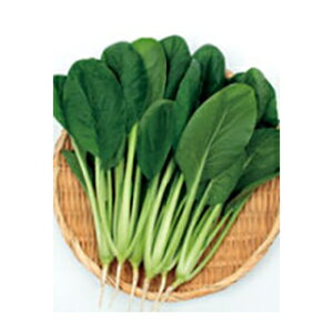 R}ci  y Ȃ z 2dl ( R}ci̎ )