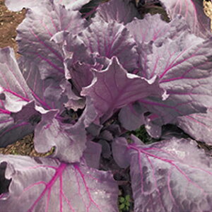 P[  y W[V[p[vz q ܁i1.5mlj i   ؎q ؎ j