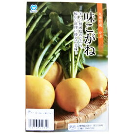 カブ 種 味こがね　小袋（2.5ml） （ 種 野菜 野菜種子 野菜種 ）