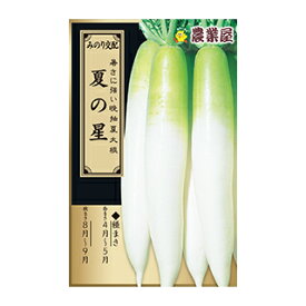 ダイコン 種 【 夏の星 】 小袋 ( ダイコンの種 )