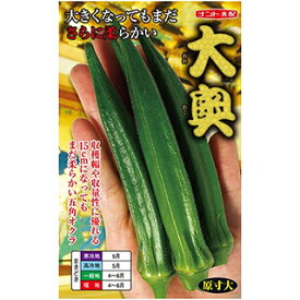 オクラ 種 【 大奥 】 小袋 ( オクラの種 )
